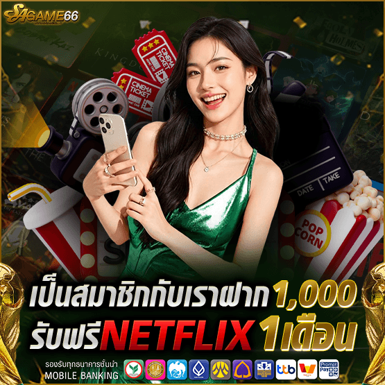 โปร netflix